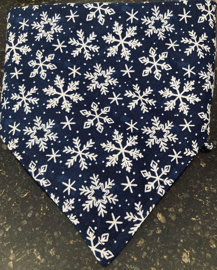 Bandana-Santa Clause