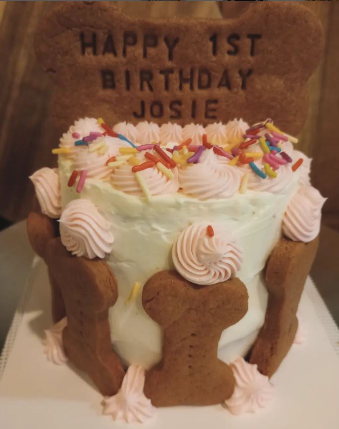 Cake Dog Birthday Cake Donnie s Doggie Desserts LLC