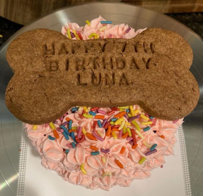 Cake------Any Occasion Dog Cake