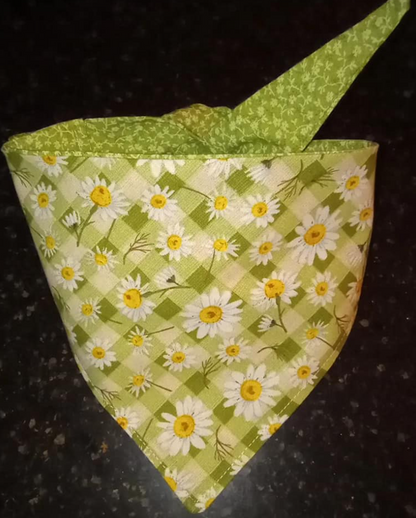 Bandana-Daisy