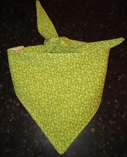 Bandana-Daisy